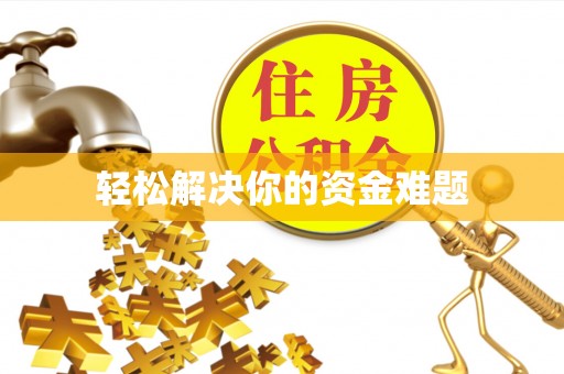 大姚轻松解决你的资金难题