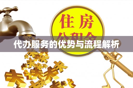 大姚代办服务的优势与流程解析