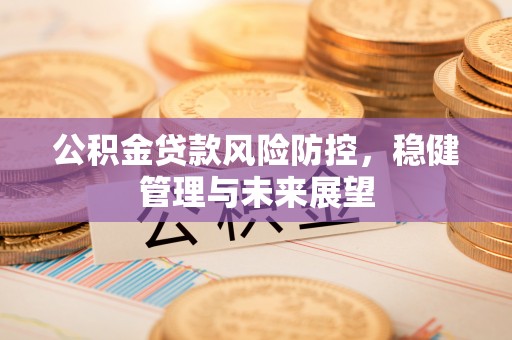 大姚公积金贷款风险防控，稳健管理与未来展望