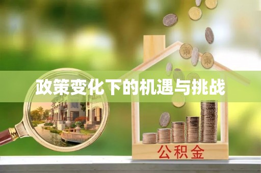 大姚政策变化下的机遇与挑战