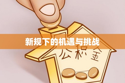大姚新规下的机遇与挑战