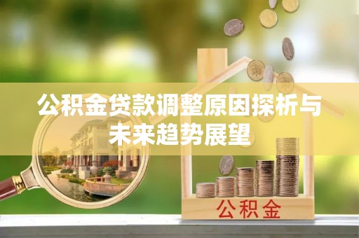 大姚公积金贷款调整原因探析与未来趋势展望