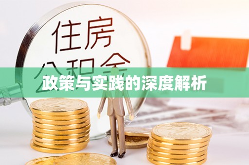 大姚政策与实践的深度解析