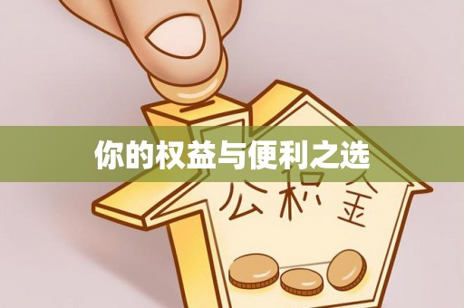 大姚你的权益与便利之选