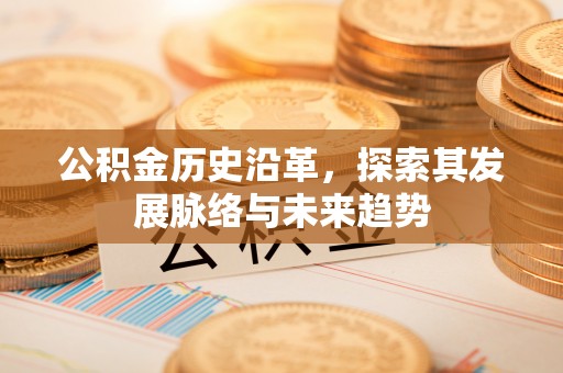 大姚公积金历史沿革，探索其发展脉络与未来趋势