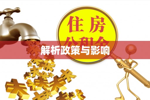 大姚解析政策与影响