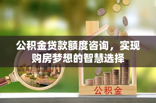 大姚公积金贷款额度咨询，实现购房梦想的智慧选择