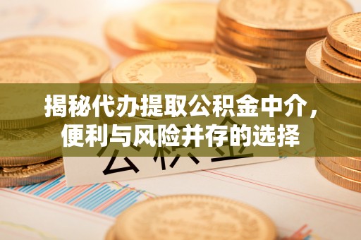 大姚揭秘代办提取公积金中介，便利与风险并存的选择