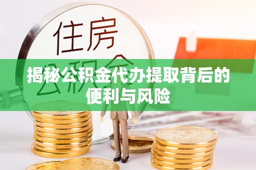 大姚揭秘公积金代办提取背后的便利与风险