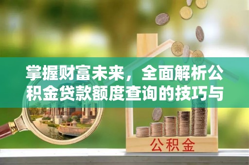 大姚掌握财富未来，全面解析公积金贷款额度查询的技巧与策略