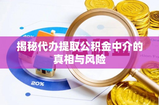 大姚揭秘代办提取公积金中介的真相与风险