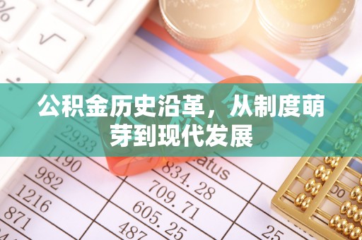 大姚公积金历史沿革，从制度萌芽到现代发展