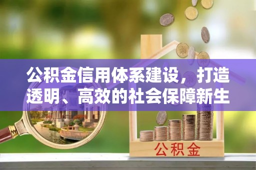 大姚公积金信用体系建设，打造透明、高效的社会保障新生态