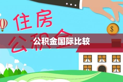 大姚公积金国际比较
