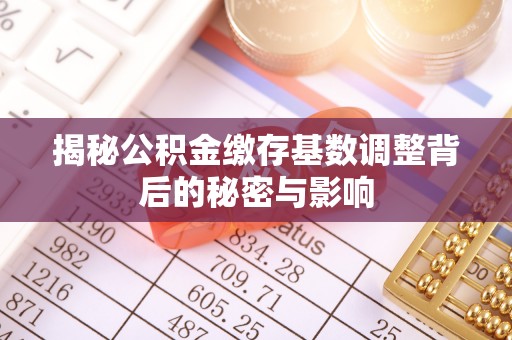 大姚揭秘公积金缴存基数调整背后的秘密与影响