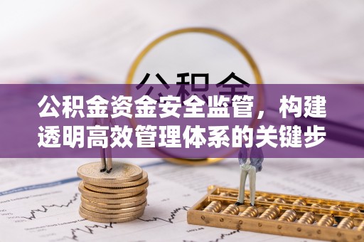 大姚公积金资金安全监管，构建透明高效管理体系的关键步骤