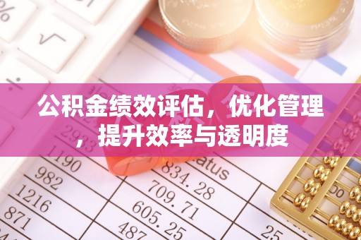 大姚公积金绩效评估，优化管理，提升效率与透明度