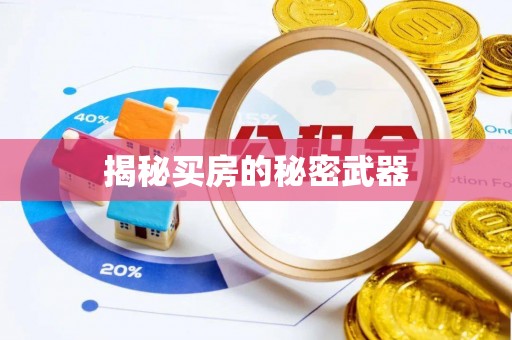 大姚揭秘买房的秘密武器
