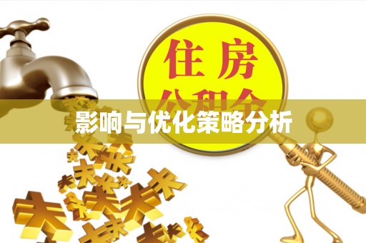 大姚影响与优化策略分析