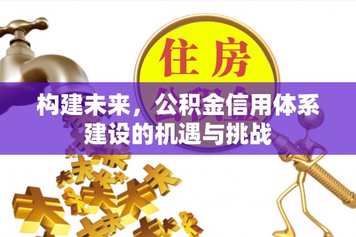 大姚构建未来，公积金信用体系建设的机遇与挑战