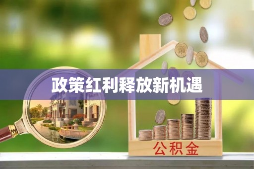 大姚政策红利释放新机遇