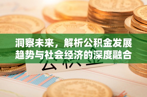 大姚洞察未来，解析公积金发展趋势与社会经济的深度融合