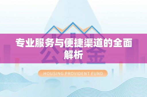 大姚专业服务与便捷渠道的全面解析