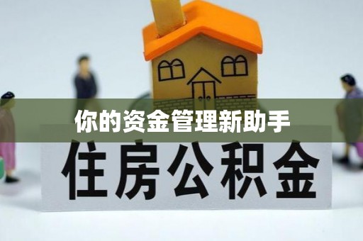 大姚你的资金管理新助手