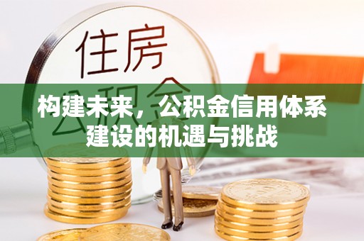 大姚构建未来，公积金信用体系建设的机遇与挑战