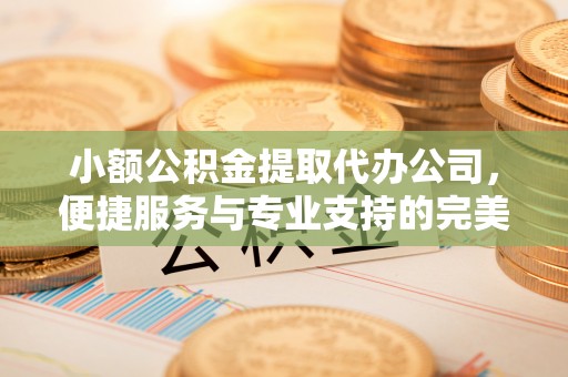 大姚小额公积金提取代办公司，便捷服务与专业支持的完美结合