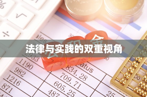 大姚法律与实践的双重视角