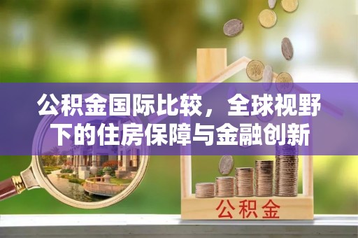 大姚公积金国际比较，全球视野下的住房保障与金融创新