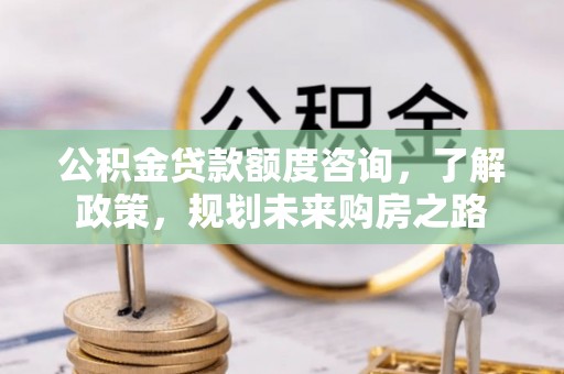 大姚公积金贷款额度咨询，了解政策，规划未来购房之路