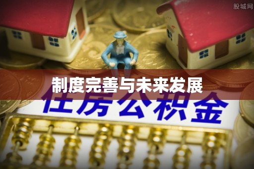 大姚制度完善与未来发展