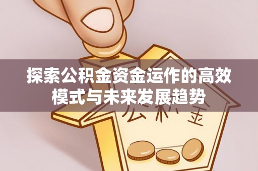 大姚探索公积金资金运作的高效模式与未来发展趋势