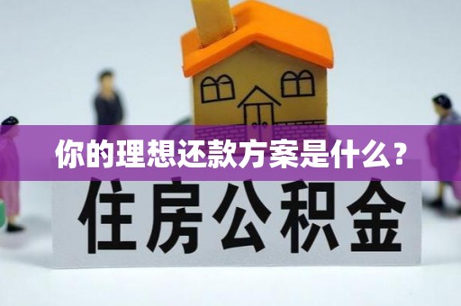 大姚你的理想还款方案是什么？