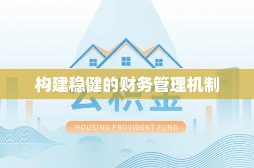 大姚构建稳健的财务管理机制