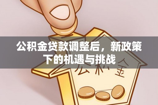 大姚公积金贷款调整后，新政策下的机遇与挑战
