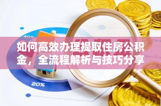 大姚如何高效办理提取住房公积金，全流程解析与技巧分享
