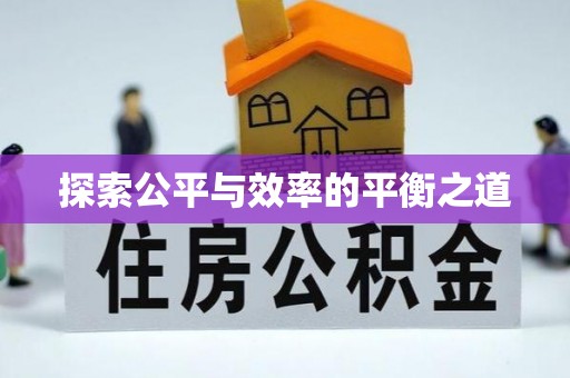 大姚探索公平与效率的平衡之道