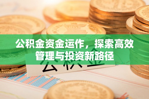 大姚公积金资金运作，探索高效管理与投资新路径