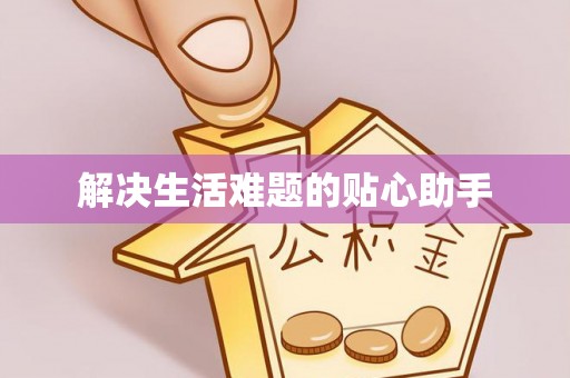 大姚解决生活难题的贴心助手