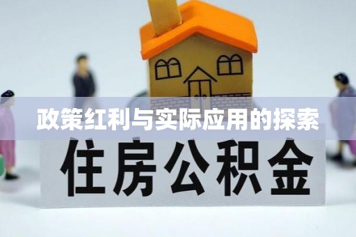 大姚政策红利与实际应用的探索