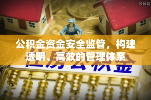 大姚公积金资金安全监管，构建透明、高效的管理体系