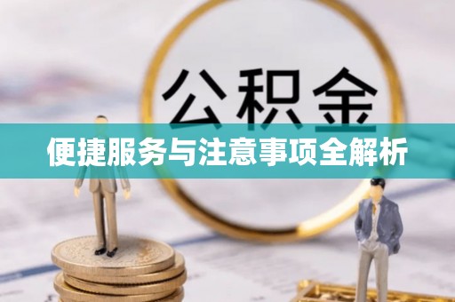 大姚便捷服务与注意事项全解析
