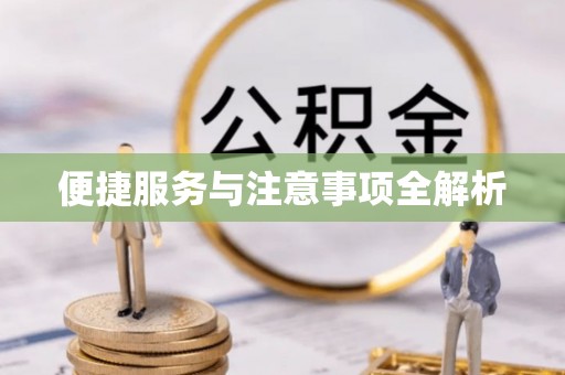 大姚便捷服务与注意事项全解析