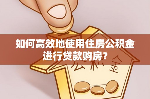 大姚如何高效地使用住房公积金进行贷款购房？