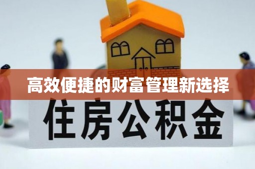大姚高效便捷的财富管理新选择
