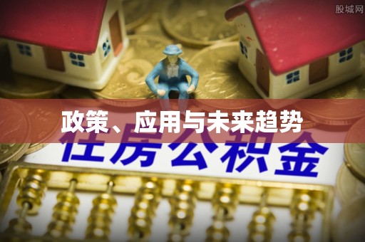 大姚政策、应用与未来趋势