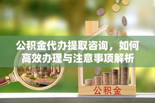 大姚公积金代办提取咨询，如何高效办理与注意事项解析